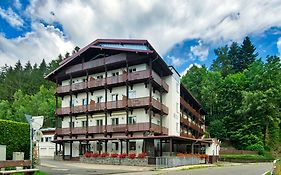 Natur- und Wanderhotel am Steinbachtal